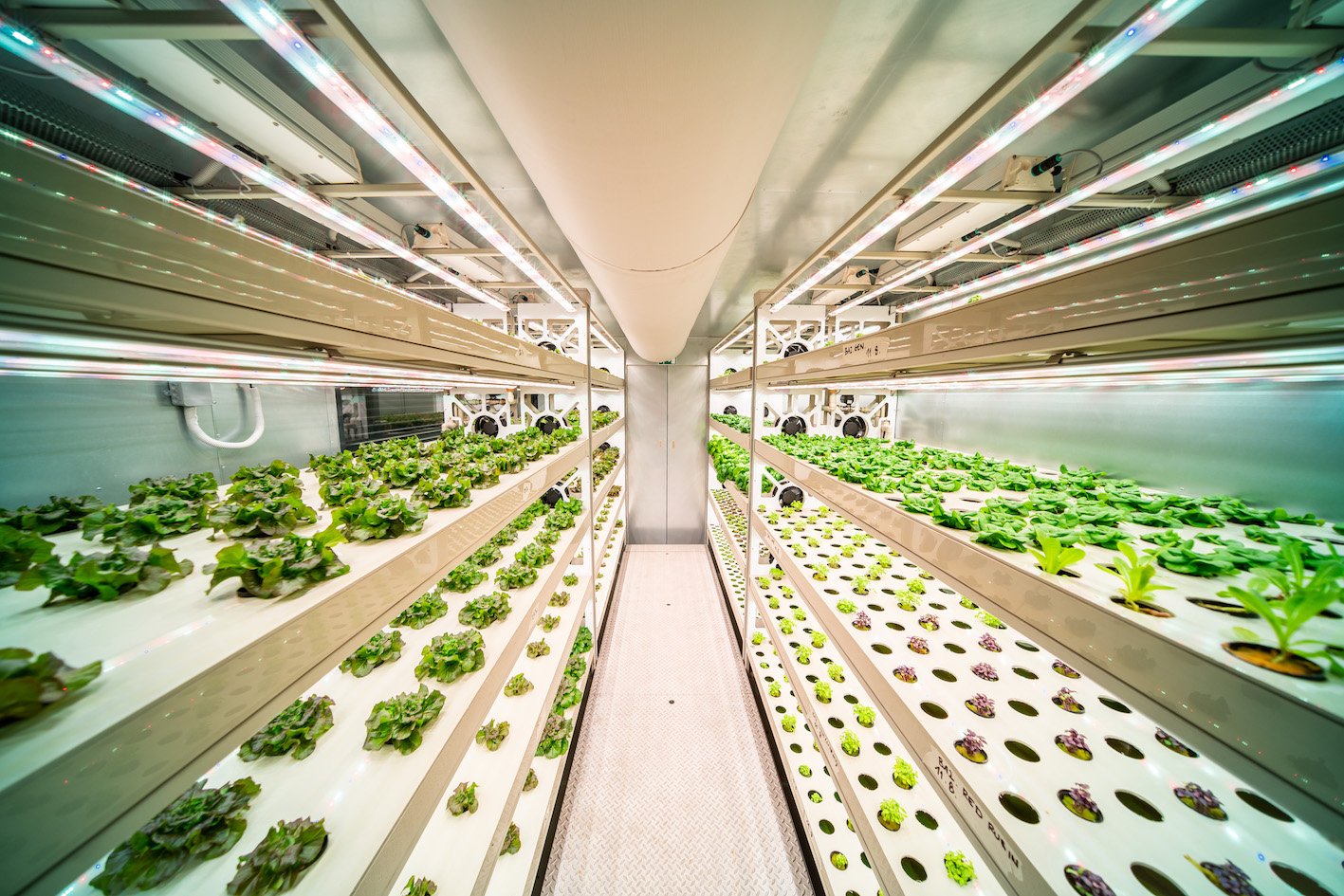 Pro Staffing Partners Lda.